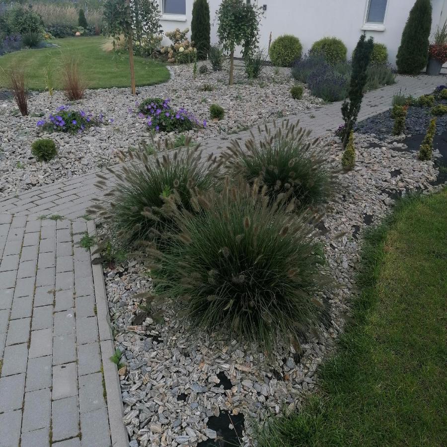 "Lawendowe Wzgorze" Villa Zastan Bagian luar foto