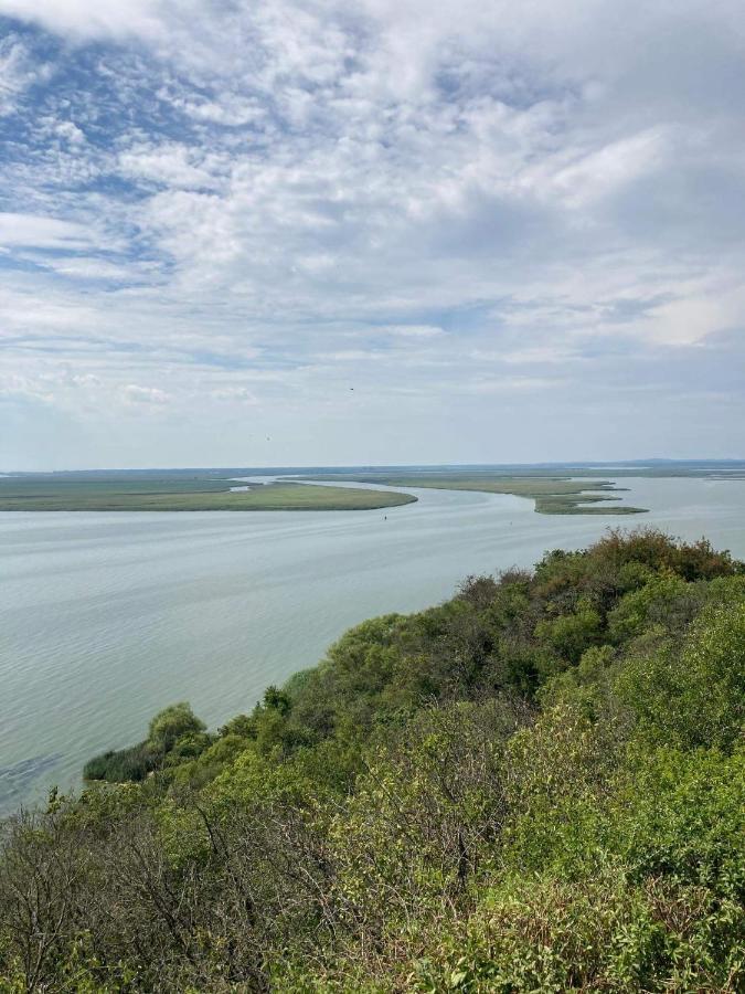"Lawendowe Wzgorze" Villa Zastan Bagian luar foto